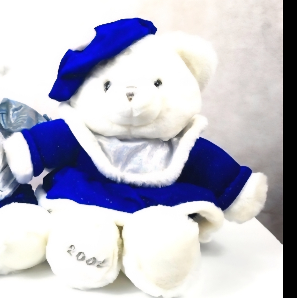 New Dan Dee Limited Edition 20022004Collectors Teddy Bear